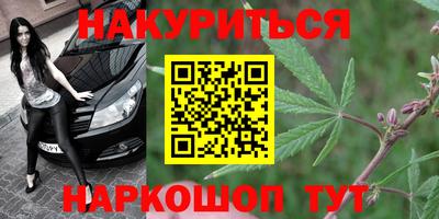 МДПВ Лесосибирск