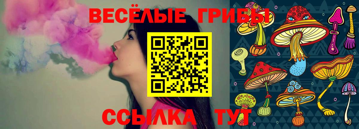 Галлюциногенные грибы мухоморы Губкинский