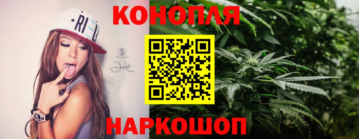 Каннабис ГИДРОПОН  Вход с VPN  Каннабис семена  Губкинский  Канабис AK-47 